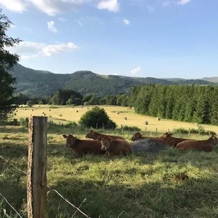 Centre Mont-dore - Bel T2 + Mezzanine - Fr-1-608-149 * Ле-Мон-Дор