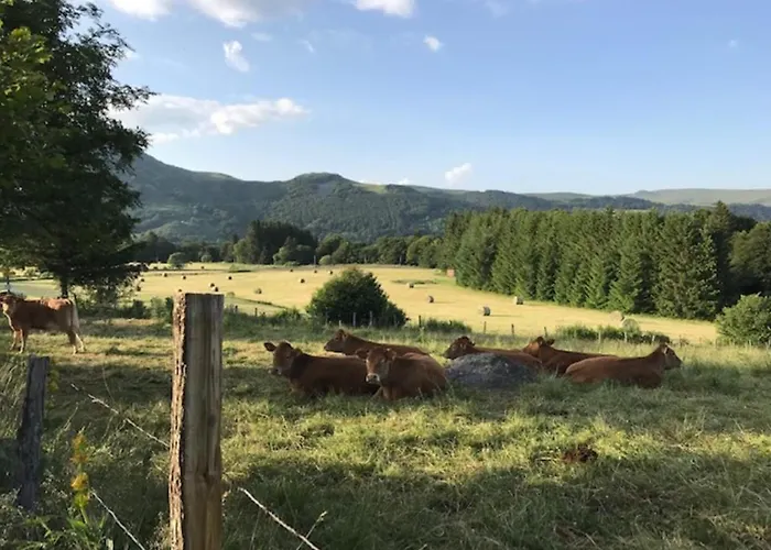 Centre Mont-dore - Bel T2 + Mezzanine - Fr-1-608-149 * Le Mont-Dore